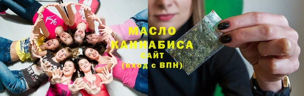 индика Ладушкин