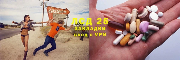 индика Ладушкин