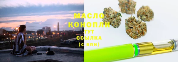 индика Ладушкин