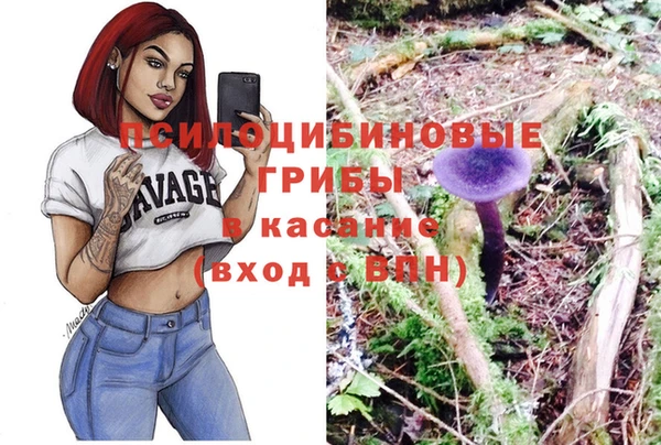 гидра Лабытнанги