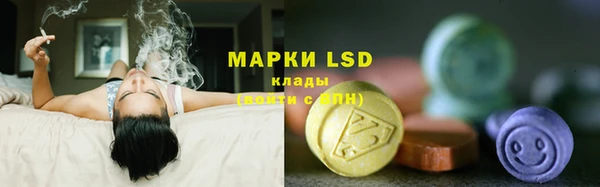 индика Ладушкин