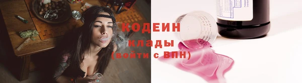 индика Ладушкин