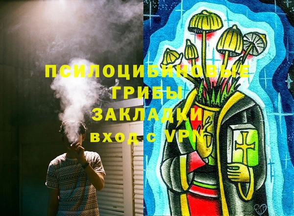 индика Ладушкин