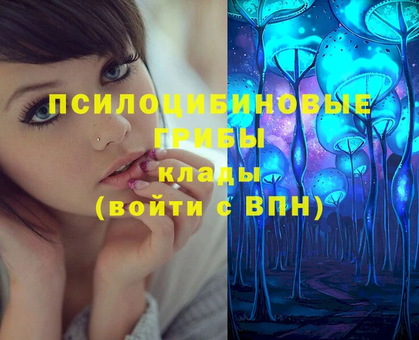 индика Ладушкин