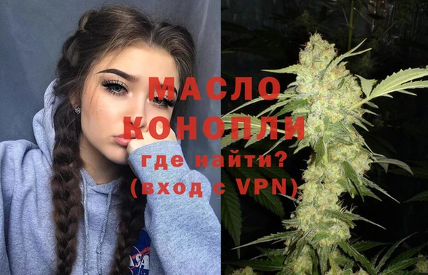 индика Ладушкин