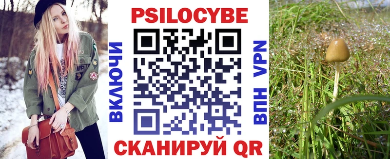 Псилоцибиновые грибы Psilocybine cubensis Анива