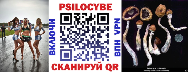 Купить закладки  Анива  Галлюциногенные грибы Psilocybine cubensis 